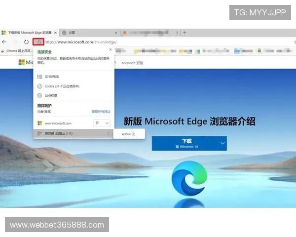 如何安全高效地下载inbet软件确保账号信息安全的实用技巧