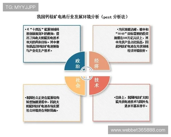 提升投资效率，详细讲解XBET星投手机端的核心特色与使用技巧
